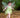 Enchanted Tinker Bell Fairy Costume – Sparkling Green Dress with Wings for Magical Adventures