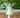 Enchanted Tinker Bell Fairy Costume – Sparkling Green Dress with Wings for Magical Adventures