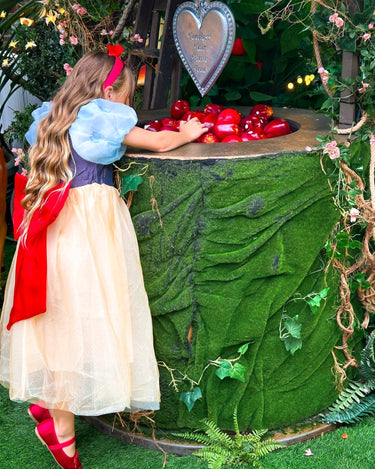 Snow White Magical Princess Dress