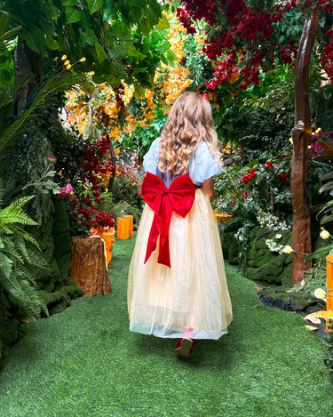Snow White Magical Princess Dress