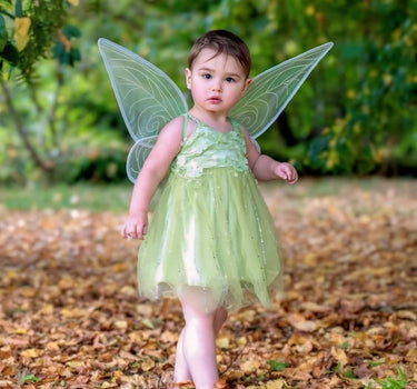 Tinker Bell Costume Set