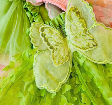 Baby Green Butterfly Dress