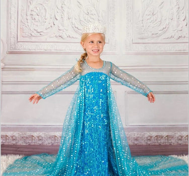 Elsa Snow Queen Costume