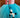 50βs Poodle Skirt Tutu Costume
