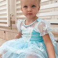 Elsa Snow Princess Princess Birthday Tutu