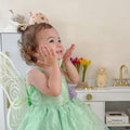 Tinker Fairy Princess Dress & Matching Wings Set
