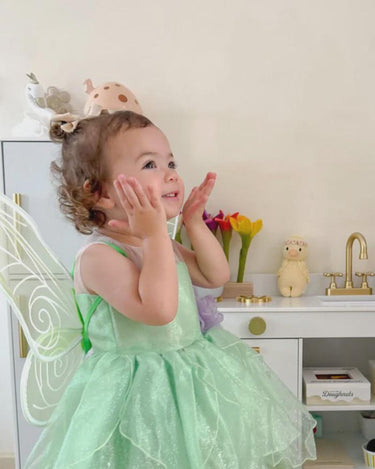 Tinker Fairy Princess Dress & Matching Wings Set