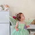 Tinker Fairy Princess Dress & Matching Wings Set