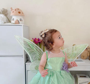 Tinker Fairy Princess Dress & Matching Wings Set