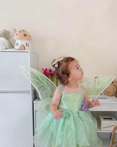 Tinker Fairy Princess Dress & Matching Wings Set