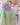 Tinker Fairy Princess Dress & Matching Wings Set