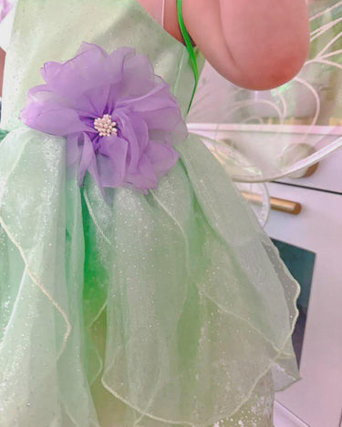 Tinker Fairy Princess Dress & Matching Wings Set