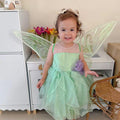 Tinker Fairy Princess Dress & Matching Wings Set