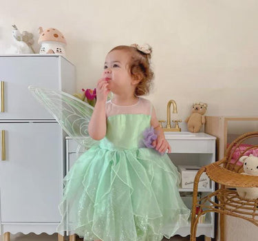 Tinker Fairy Princess Dress & Matching Wings Set