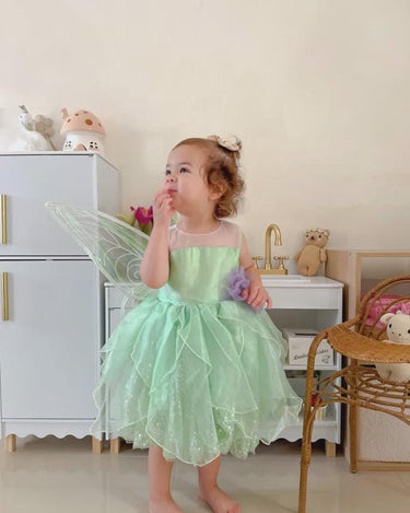 Tinker Fairy Princess Dress & Matching Wings Set