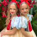Enchanted Forest Princess Dress – Fairytale-Inspired Gown for Kids