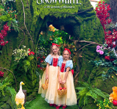 Enchanted Forest Princess Dress – Fairytale-Inspired Gown for Kids