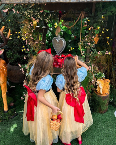 Enchanted Forest Princess Dress – Fairytale-Inspired Gown for Kids