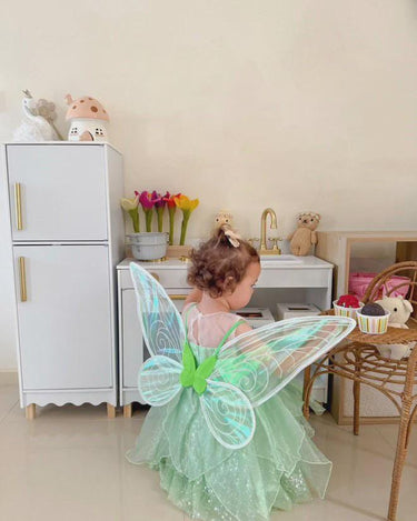 Tinker Fairy Princess Dress & Matching Wings Set