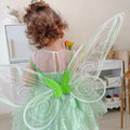 Tinker Fairy Princess Dress & Matching Wings Set