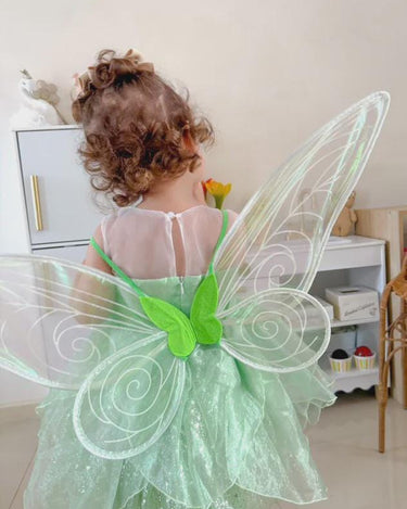 Tinker Fairy Princess Dress & Matching Wings Set