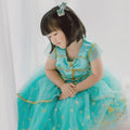 Genie Princess Dress – Jasmine-Inspired Teal & Gold Birthday Party Costume