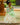 Frog Princess Tiana Inspired Costume Dress with Arm Sleeves - Magical Princess Outfit