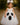 Toddler Ghost Tutu Dress with Headband – Girls Halloween Costume, Spooky Cute Baby Ghost Outfit, White Tulle Dress with Face Design