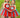 Thing 1 & Thing 2 Tutu Dress Set – Cat in the Hat Costume for Girls – Inspired Birthday Outfit with Headband, Tights and Sleeves