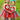 Thing 1 & Thing 2 Tutu Dress Set – Cat in the Hat Costume for Girls – Inspired Birthday Outfit with Headband, Tights and Sleeves
