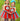 Thing 1 & Thing 2 Tutu Dress Set – Cat in the Hat Costume for Girls – Inspired Birthday Outfit with Headband, Tights and Sleeves