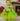Grinchmas Tutu Dress Set – Girls Christmas Costume with Furry Leg and Arm Warmers, Red Bow & Heart – Holiday Toddler Dress Up Outfit