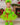 Grinchmas Tutu Dress Set – Girls Christmas Costume with Furry Leg and Arm Warmers, Red Bow & Heart – Holiday Toddler Dress Up Outfit