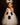 Toddler Ghost Tutu Dress with Headband – Girls Halloween Costume, Spooky Cute Baby Ghost Outfit, White Tulle Dress with Face Design