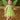 Baby Toddler Tinker Bell Costume with Wings – Green Fairy Dress for Girls, Halloween & Birthday Outfit