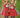 Thing 1 & Thing 2 Tutu Dress Set – Cat in the Hat Costume for Girls – Inspired Birthday Outfit with Headband, Tights and Sleeves