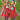 Thing 1 & Thing 2 Tutu Dress Set – Cat in the Hat Costume for Girls – Inspired Birthday Outfit with Headband, Tights and Sleeves