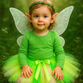 Fairy Tutu Skirt Costume: Green Pixie Dress Up with Wings, Crown & Elf Ears