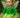 Fairy Tutu Skirt Costume: Green Pixie Dress Up with Wings, Crown & Elf Ears