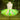 Fairy Tutu Skirt Costume: Green Pixie Dress Up with Wings, Crown & Elf Ears